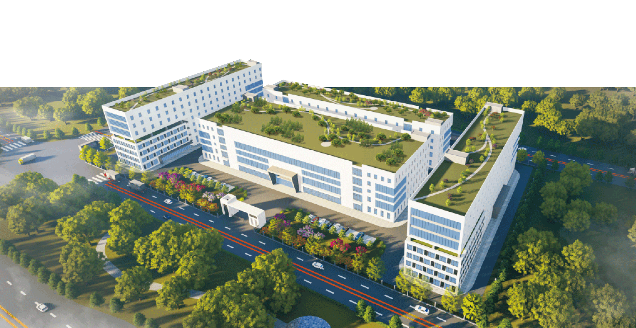 电子pg下载入口