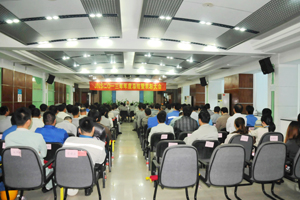 电子pg下载入口