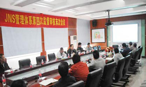 电子pg下载入口