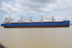 电子pg下载入口