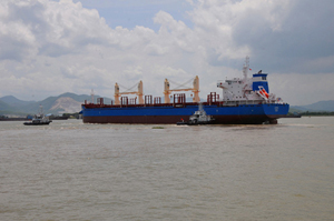 电子pg下载入口