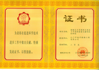 电子pg下载入口