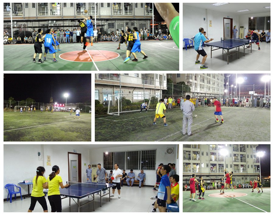 电子pg下载入口