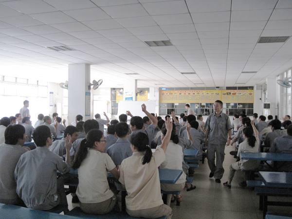 电子pg下载入口