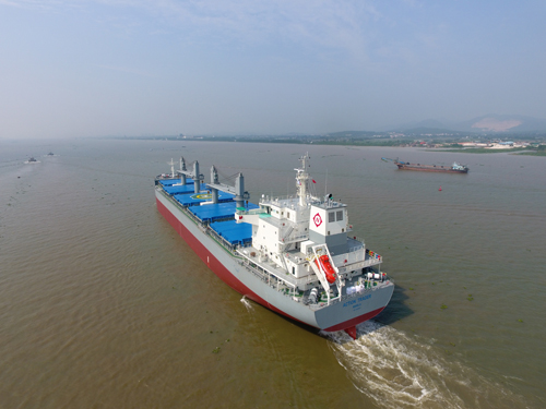 电子pg下载入口