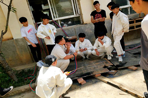 电子pg下载入口