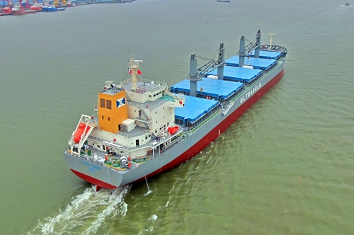 电子pg下载入口