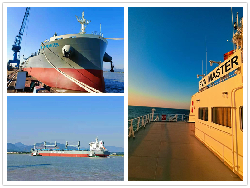 电子pg下载入口