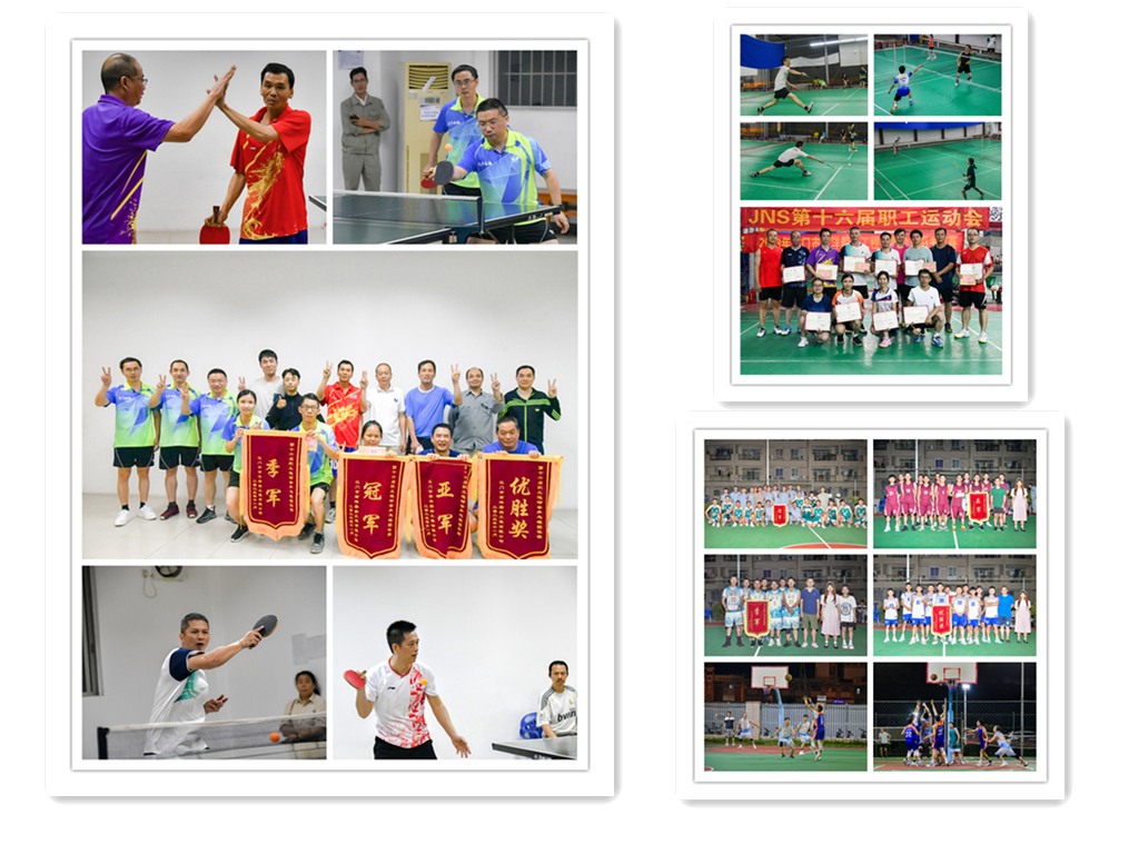 电子pg下载入口