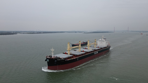 电子pg下载入口