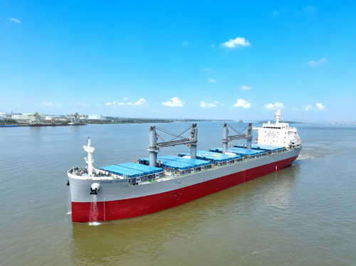 电子pg下载入口