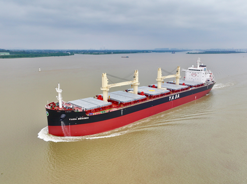 电子pg下载入口